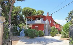 Calypso Apartments